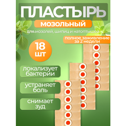 ���� �������� ��������� �������� ��������� ��� ������������ �������, ���������� � ��������� �� ����� - 18 ���� ������ ������