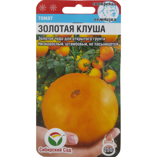 ���� ������ ����� ������� �����, ��������� ���, 20 ��. ������ ������