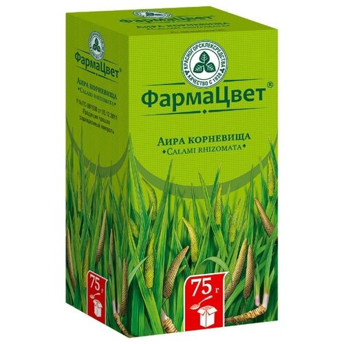 ���� ���������������������� ��������� ��������� ����, 75 � ������ ������