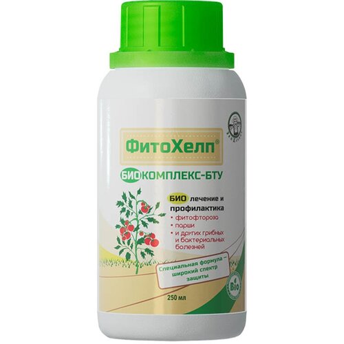 ���� ����������� �������� ��������� �����������-��� 250 �� ������ ������