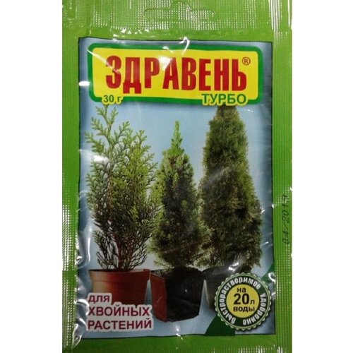 ���� ������ ������ ������