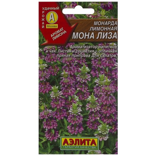 ���� ������. ������� �������� 