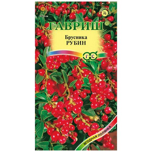 ���� ������. �������� 