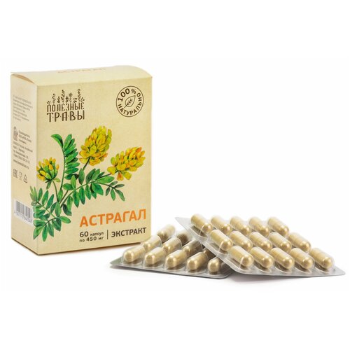 ���� ��������, ��������, ����� 