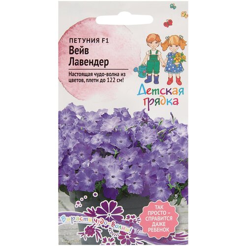 ���� ������ ������� ���� �������� F1 5 �� ������� ������, ������� ����������� ��������������� �������������� ��������� ������ ������