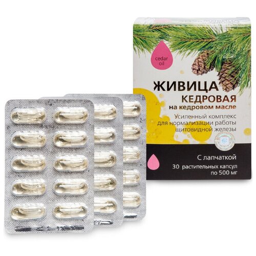 ���� ������� ������-��� ������ �������� �� �������� ����� � ���������, 30 ��. ������ ������