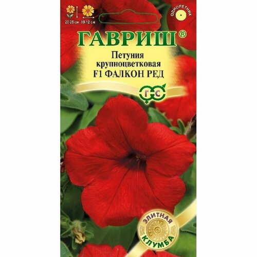 ���� ������ ������� ������ ��� F1 ��������������� 5�� ��� 25�� (������) ������� ������ ������ ������