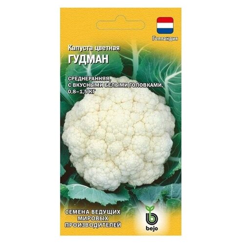 ���� ������ ������ Bejo ������� ������� ������ F1 10 ��. ������ ������