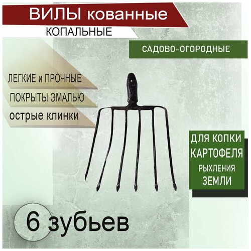 ���� ���� 6 �������� ���������� ��������� ��� ����� ��������� ����������� �������� ������ ������ ������ ������