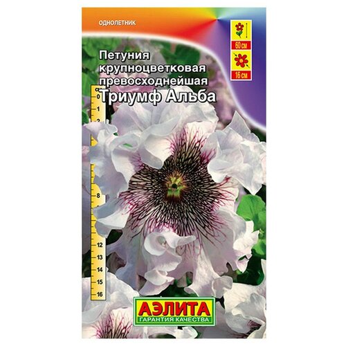 ���� ������ ��������� ������ ������� ������ ����� ��������������� 10 ��. (����� � ��������) ������ ������