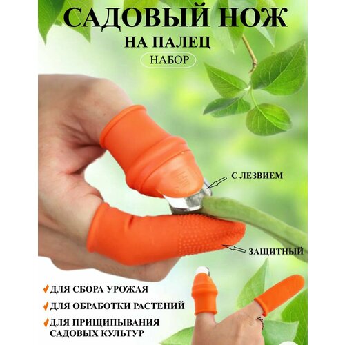 ���� ���������� ��� ���� � �������, 3 ��, ������-��������� ��������� ������ ������