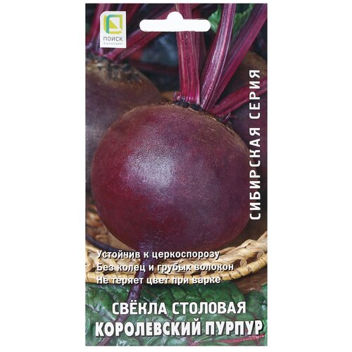 ���� ������ ����� ������ �������� ����������� ������ 3 � ������ ������