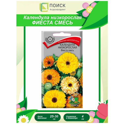 ���� ������ ��������� ����������� ������ ����� ���������� 1 ��. ������ ������