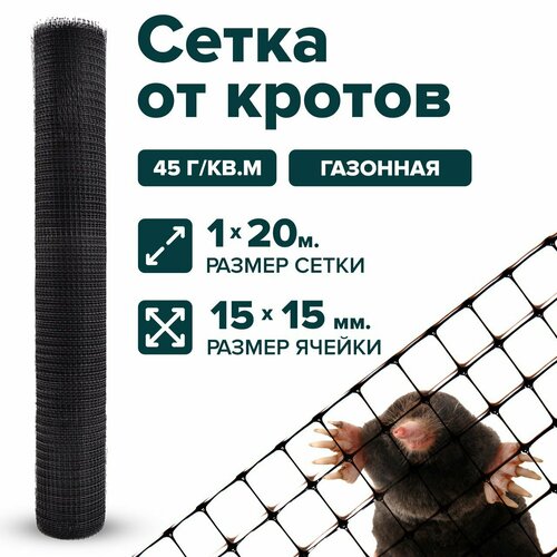 ���� ����� ����� ����������� ������������ �� ������ 1 x 20 � ������ 15 x 15 �� ������ ������ ������