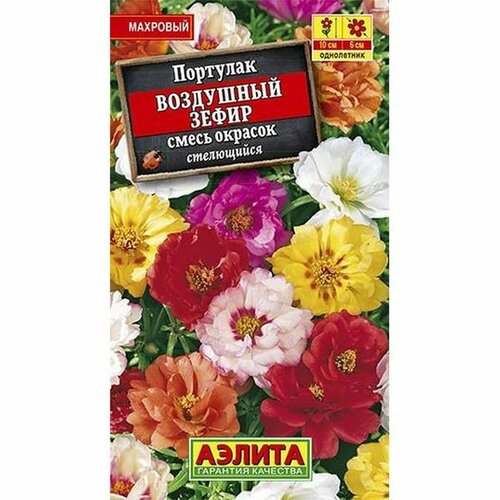 ���� ������ �������� ��������� �����, ����� (����������) (������) 0,1� ������ ������