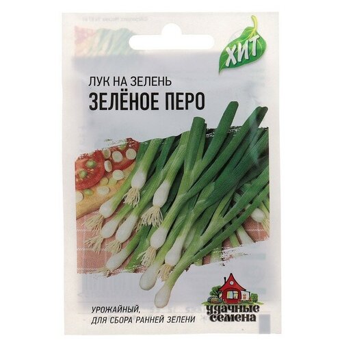 ���� ������ ������ ��� �� ������ 