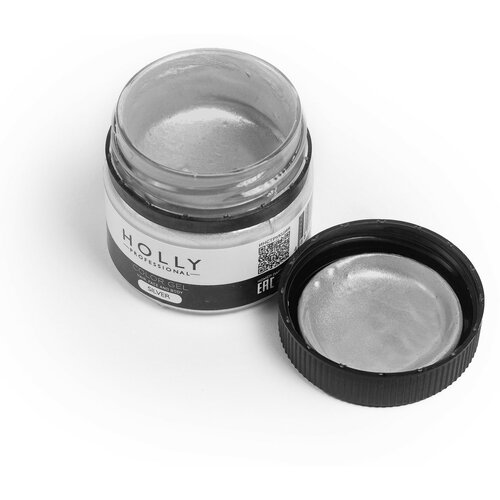  Holly Professional     /   ,    Color Gel Silver  