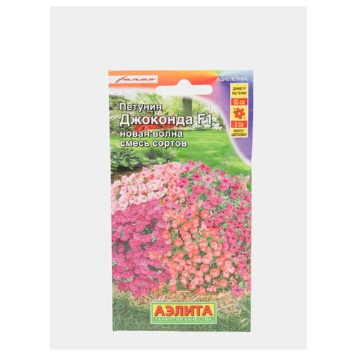 ���� ������. ������� 