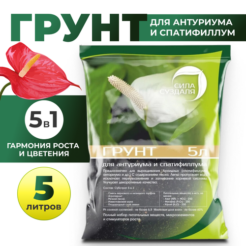 ���� ����. ����� ��� ���������, ������������, ������������� ���� �������/ ����� ��� ��������� ������, 5 � ������ ������