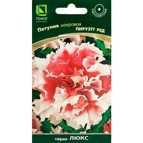 ���� ������ ������� �������� ������� ����� � ������������ 10 �� ������ ������