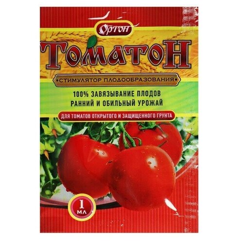 ���� ������� 1�� ������ ������