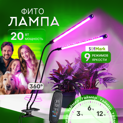 ���� ��������� ��� �������� � ������� �� ��������, � �������� ������ ������