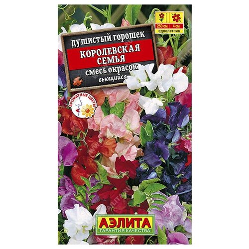 ���� ������� �������� 