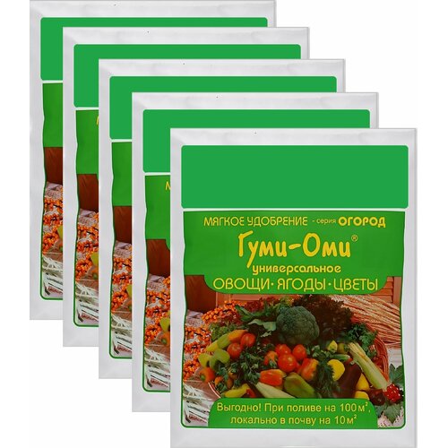 ���� ��������� 