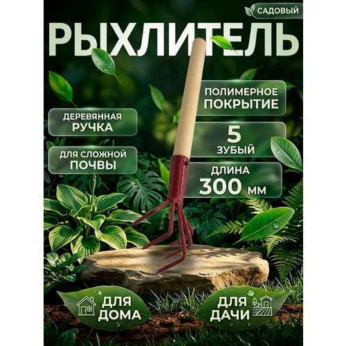 ���� ��������� ��������� ������ ������� �-5 � ���������� �������� / ��������� ��� ���� � ������� ������ ������