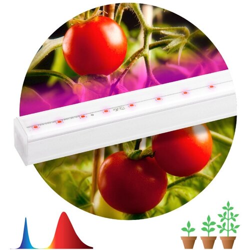       14 LED IP20 -     -     , -, 