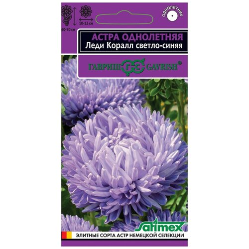 ���� ������ ����� ���� ����� ������-�����, ���������� ����������, ����� ��������� 0,1 �� ������ ������