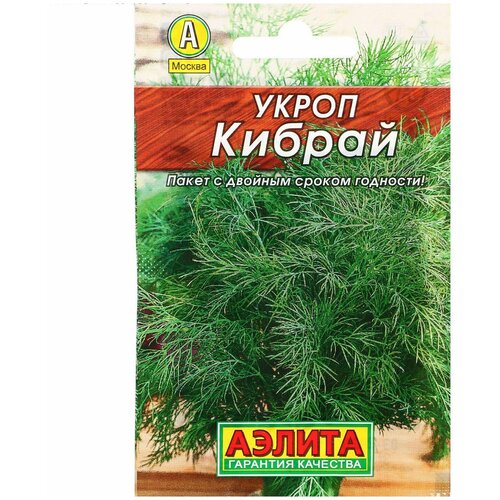 ���� ������ ����� 