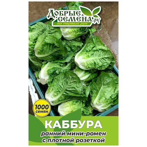 ���� ������ ������ ������� - 1000 �� - ������ ������. �� ������ ������