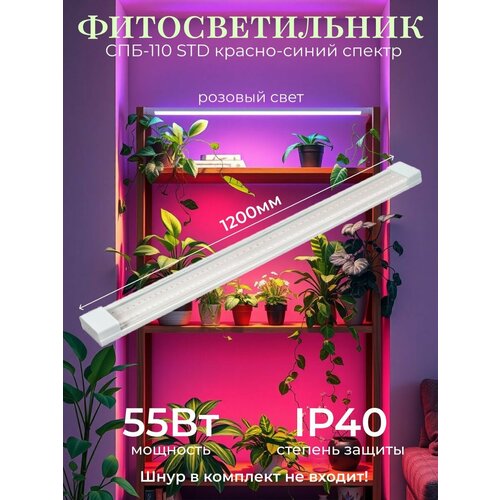 ���� �������������� ������������ ���-110-���� ����-������� ������ 55�� 1200�� IN HOM ������ ������