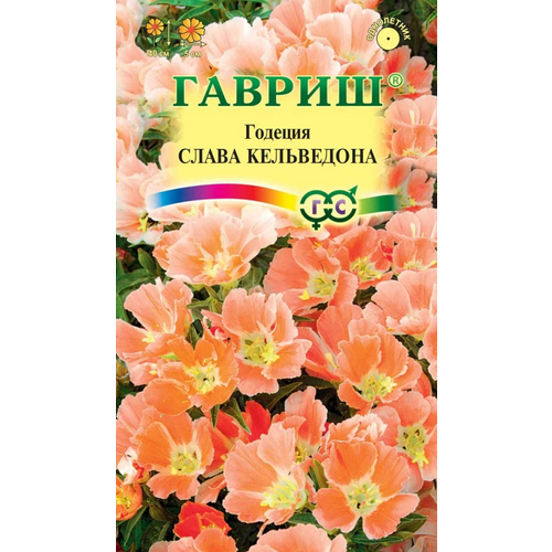 ���� ������� ����� ����������, ������ ������ ( 1 ��: 0,05 � ) ������ ������