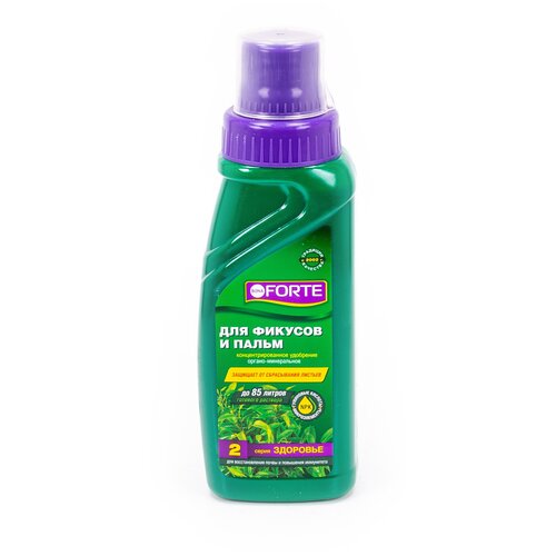 ���� ��������� BONA FORTE ��� ������� � �����, ����� ��������, 0.285 �, 373 �, 1 ��. ������ ������