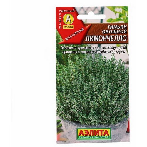 ���� ������ ������ ������� 