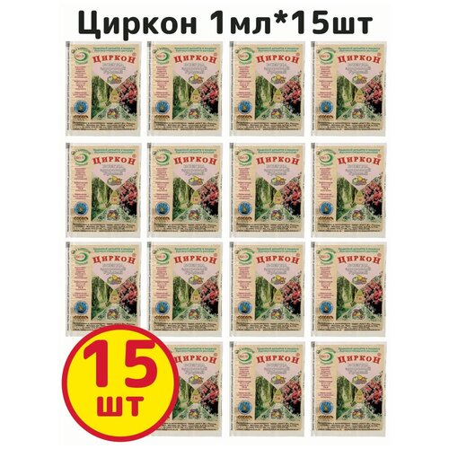 ���� ��������� ����� ��������, ������, 1��, ����-� - �������� 15�� ������ ������