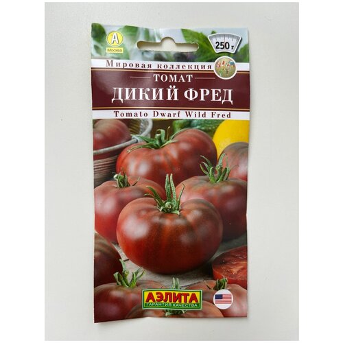 ���� ������ ����� ����� ���� ������������, �������������� 20��/1 ������ ������