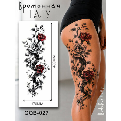 ���� ������� ��������� ���������� (�� �������) �� ��� ����, �����. ������ 480�170�� ������ ������