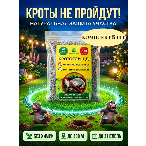 ���� �������� �� ������ � ��������� �� ������� � ���� �������� 300 �� (250 ��) � 5 ��. ������ ������