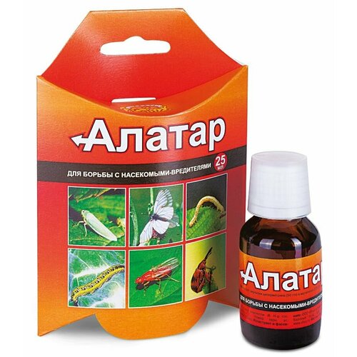 ���� ������ ������ �� ���������-���������� 25�� ������ ������