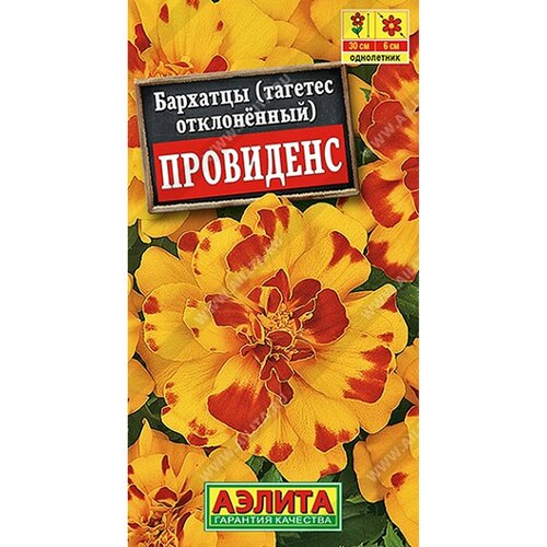 ���� ������ �������� ��������� ����������, (������) 7�� ������ ������