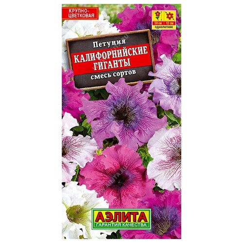 ���� ������� 