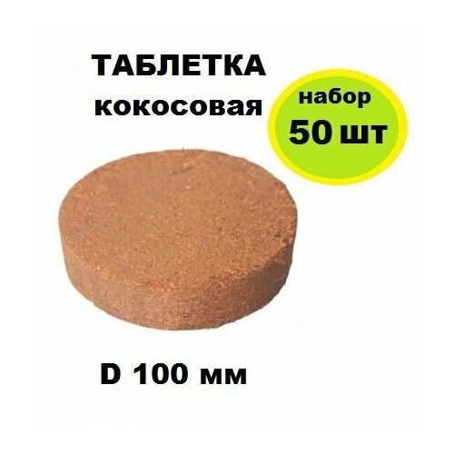    d 100 , 50 .       .    , ,     -     , -, 