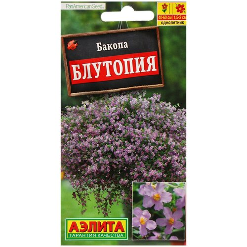 ���� ������ ��������� ������ ������ �������� ����� � �������� 3 �� ������ ������