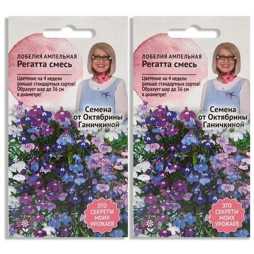 ���� ����� ����� ������� ������� ����� 10 �� - 2 ��. ������ ������