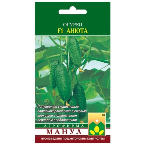 ���� ������ ����� 