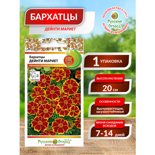 ���� ������. �����. �������� 