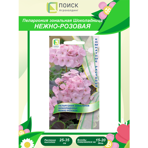 ���� ������ ���������� ��������� ����������� �����-������� ��������� 5 ��. ������ ������